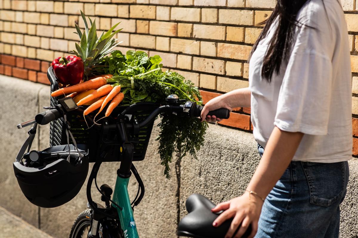 Neomouv Facelia ebike carrying groceries