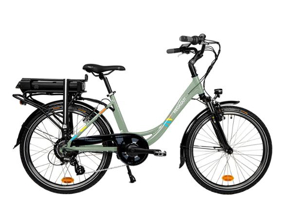  FACELIA 24' T39 468Wh Green