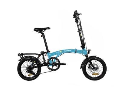EFOLDING 16' SKY/BLACK