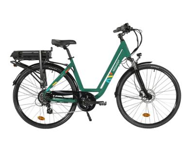 CARLINA HY 26' GREEN