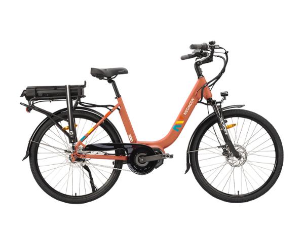 EBIKE KALYSO 2 HYN7 26' T46 626Wh SAUMON