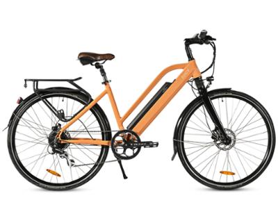 Juicy roller sale electric bike